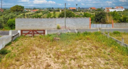 Residential - Land - Carregueira, Chamusca - PT