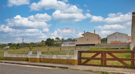 Residential - Land - Carregueira, Chamusca - PT