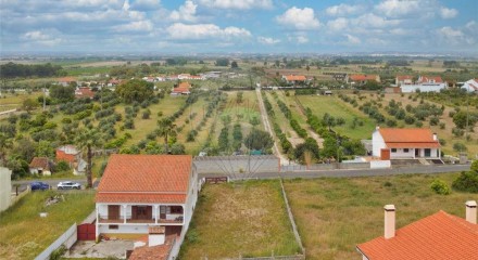 Residential - Land - Carregueira, Chamusca - PT