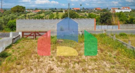 Residential - Land - Carregueira, Chamusca - PT