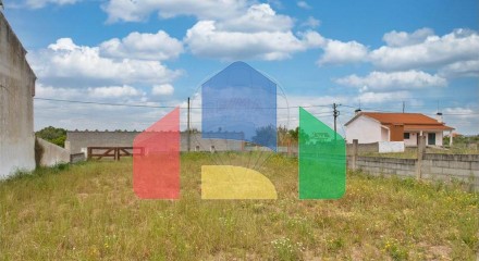 Residential - Land - Carregueira, Chamusca - PT