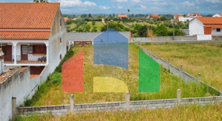 Residential - Land - Carregueira, Chamusca - PT