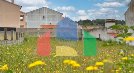 Residential - Land - Carregueira, Chamusca - PT