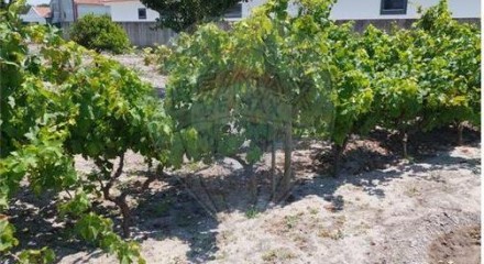 Residential - Single Family Home - T2 - Vendas Novas, Vendas Novas - PT