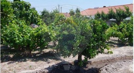 Residential - Single Family Home - T2 - Vendas Novas, Vendas Novas - PT