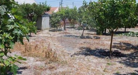 Residential - Single Family Home - T2 - Vendas Novas, Vendas Novas - PT