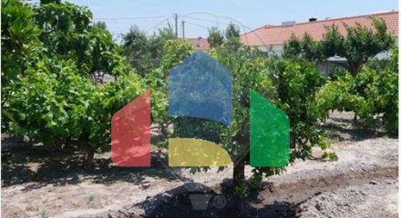 Residential - Single Family Home - T2 - Vendas Novas, Vendas Novas - PT