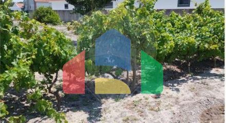 Residential - Single Family Home - T2 - Vendas Novas, Vendas Novas - PT