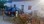 Residential - Single Family Home - T2 - Vendas Novas, Vendas Novas - PT