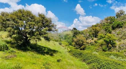 Residential - Farm - Saboia, Odemira - PT