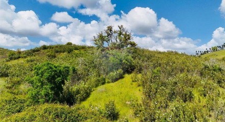 Residential - Farm - Saboia, Odemira - PT