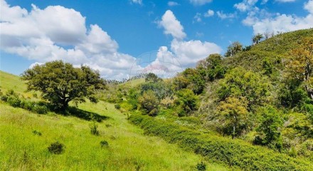 Residential - Farm - Saboia, Odemira - PT