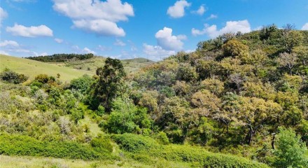 Residential - Farm - Saboia, Odemira - PT