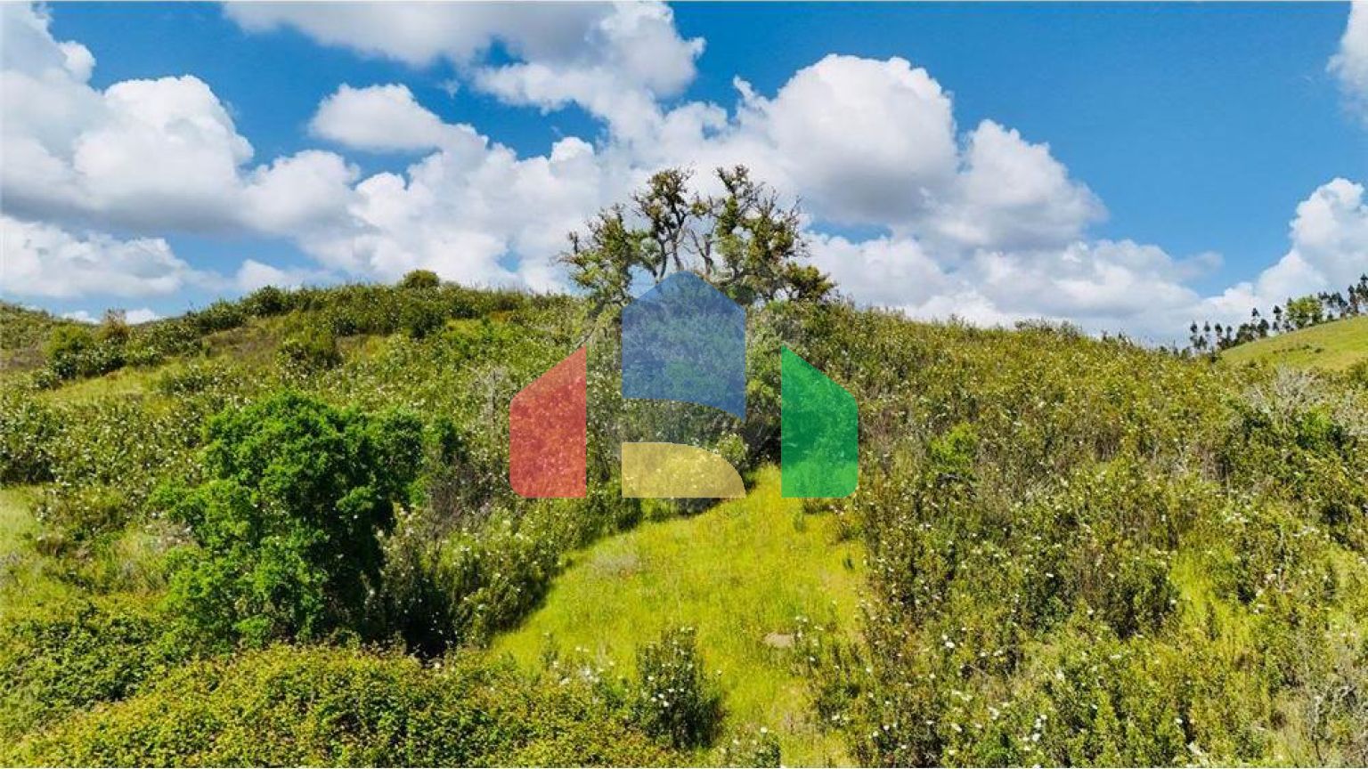 Residential - Farm - Saboia, Odemira - PT