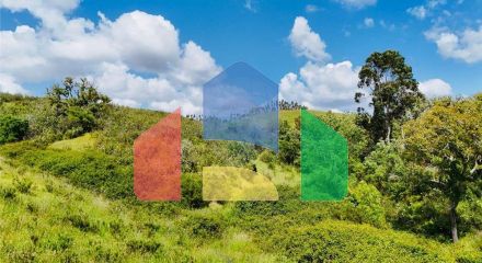 Residential - Farm - Saboia, Odemira - PT