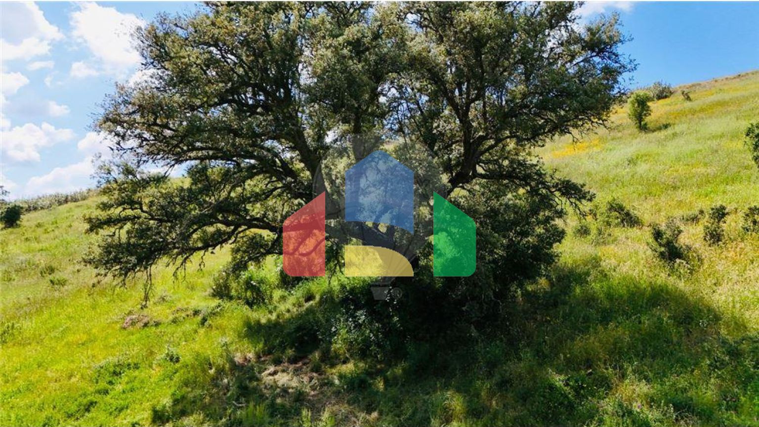 Residential - Farm - Saboia, Odemira - PT