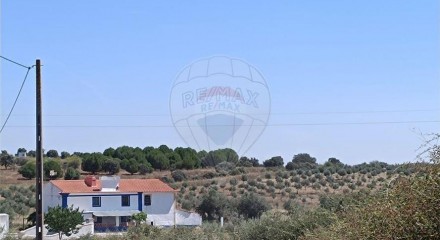 Residential - Farm - T4 - Sousel, Sousel - PT