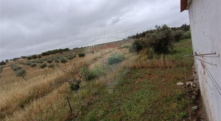 Residential - Farm - T4 - Sousel, Sousel - PT