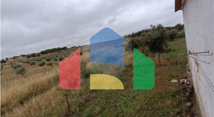 Residential - Farm - T4 - Sousel, Sousel - PT