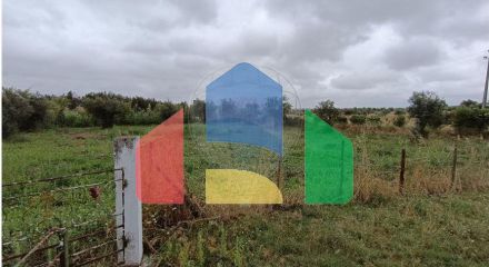 Residential - Farm - T4 - Sousel, Sousel - PT