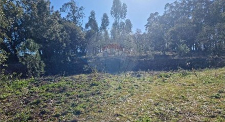 Residential - Land - Santa Catarina da Serra e Chainça, Leiria - PT