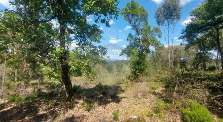 Residential - Land - Santa Catarina da Serra e Chainça, Leiria - PT