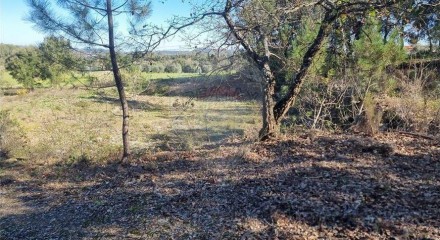 Residential - Land - Santa Catarina da Serra e Chainça, Leiria - PT