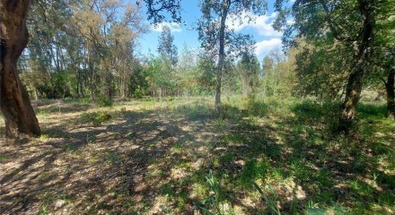 Residential - Land - Santa Catarina da Serra e Chainça, Leiria - PT