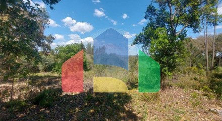 Residential - Land - Santa Catarina da Serra e Chainça, Leiria - PT
