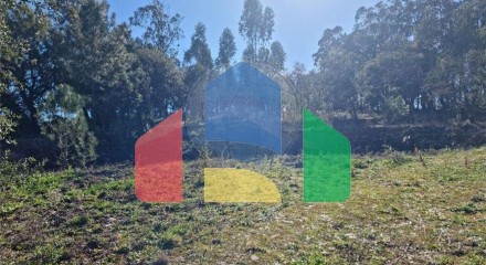 Residential - Land - Santa Catarina da Serra e Chainça, Leiria - PT