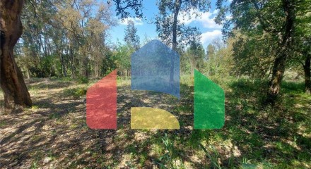 Residential - Land - Santa Catarina da Serra e Chainça, Leiria - PT
