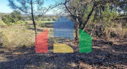 Residential - Land - Santa Catarina da Serra e Chainça, Leiria - PT