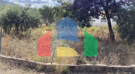 Commercial - Warehouse - Pedreiras, Porto de Mos - PT