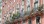 Residential - Condo/Apartment - T8 - Avenidas Novas, Lisbon - PT