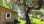 Residential - Farm - Penamacor, Penamacor - PT