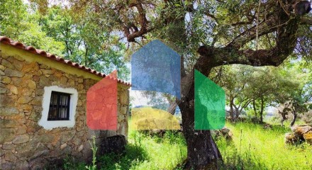 Residential - Farm - Penamacor, Penamacor - PT