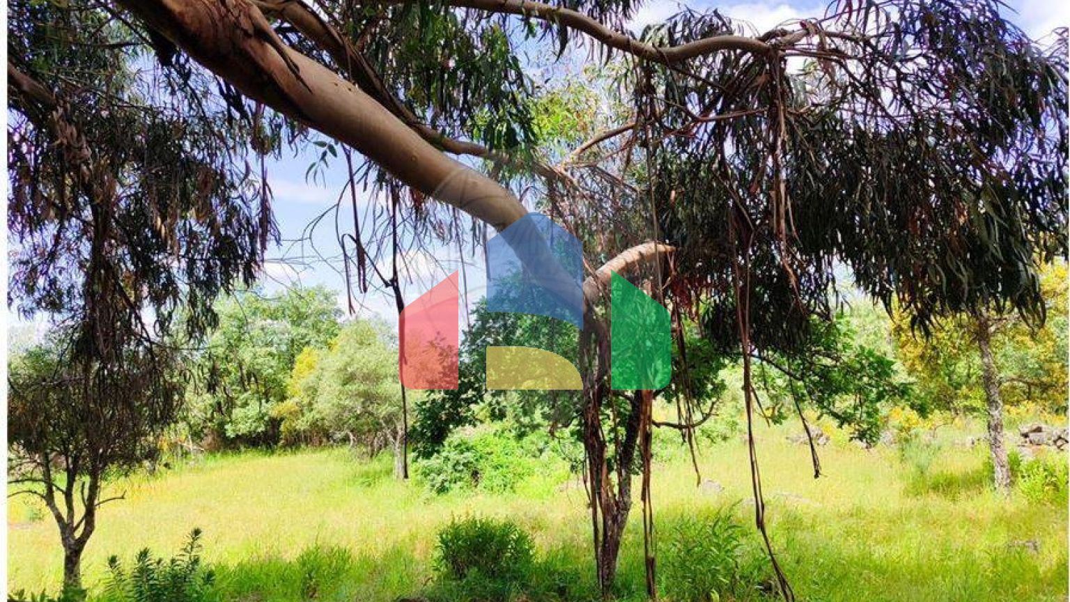 Residential - Farm - Penamacor, Penamacor - PT