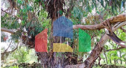 Residential - Farm - Penamacor, Penamacor - PT