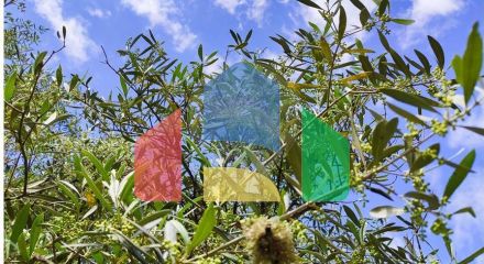 Residential - Farm - Penamacor, Penamacor - PT