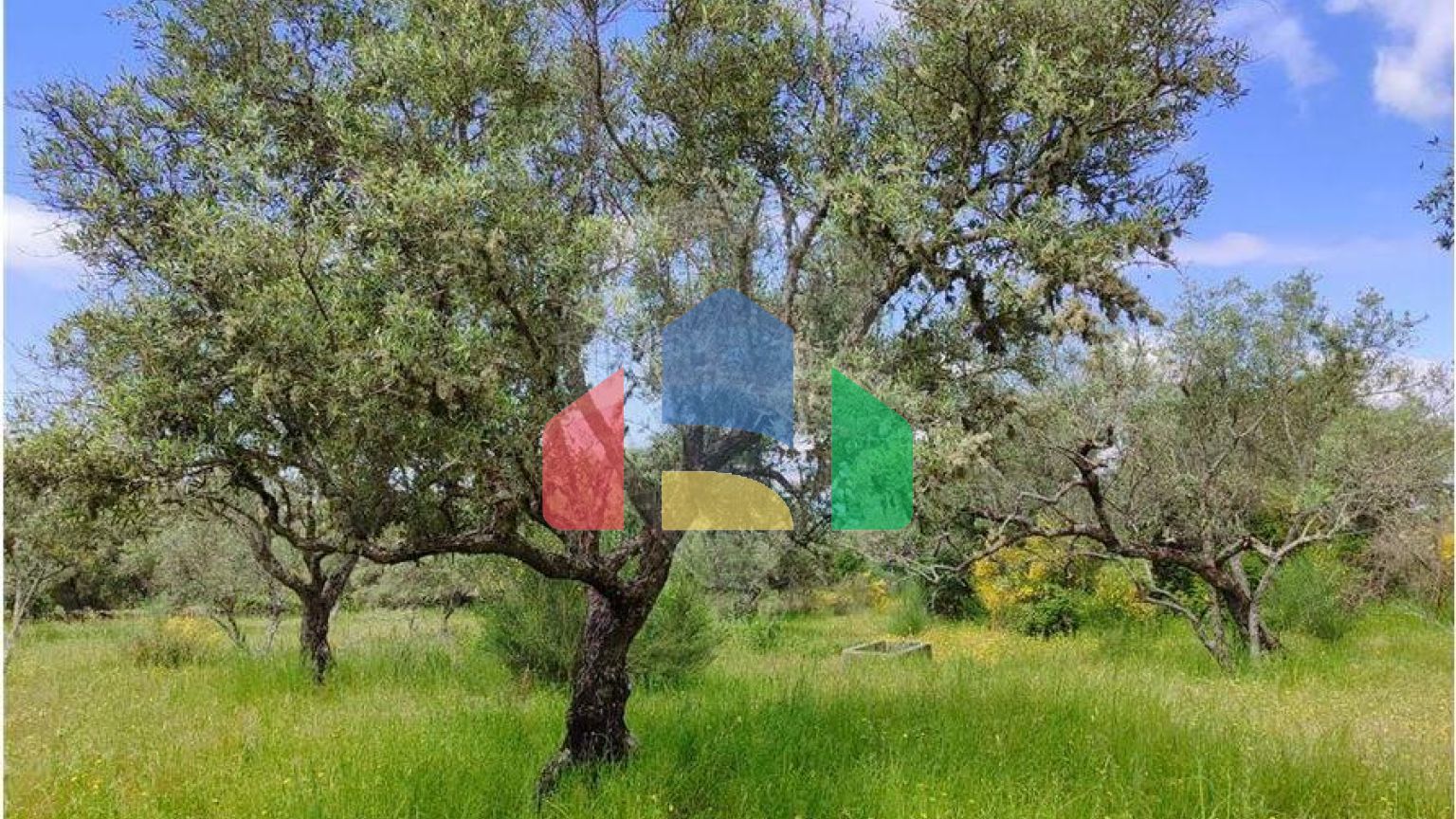 Residential - Farm - Penamacor, Penamacor - PT