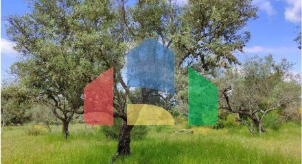 Residential - Farm - Penamacor, Penamacor - PT