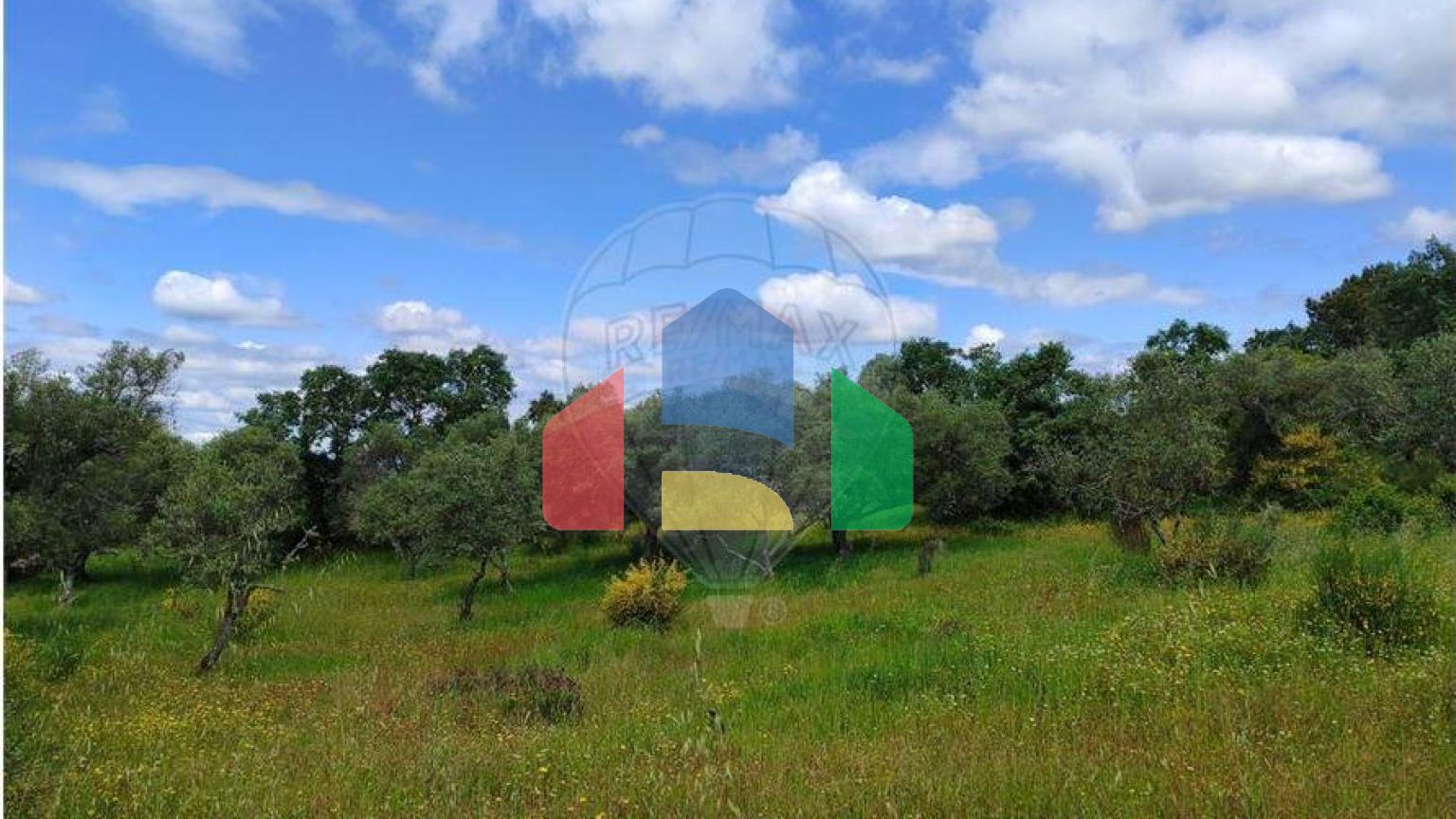 Residential - Farm - Penamacor, Penamacor - PT