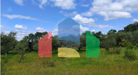 Residential - Farm - Penamacor, Penamacor - PT