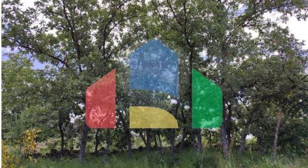 Residential - Farm - Penamacor, Penamacor - PT