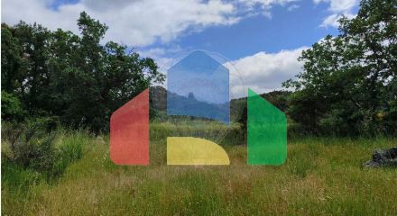 Residential - Farm - Penamacor, Penamacor - PT