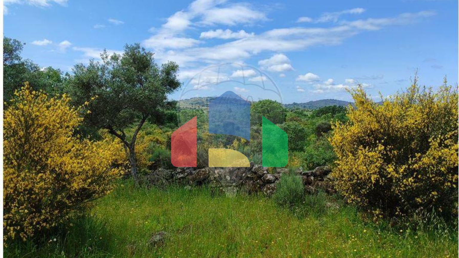 Residential - Farm - Penamacor, Penamacor - PT