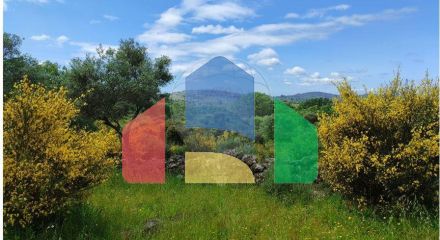 Residential - Farm - Penamacor, Penamacor - PT