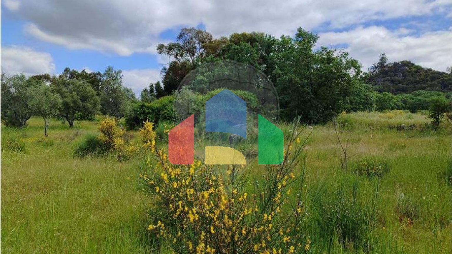 Residential - Farm - Penamacor, Penamacor - PT