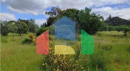 Residential - Farm - Penamacor, Penamacor - PT