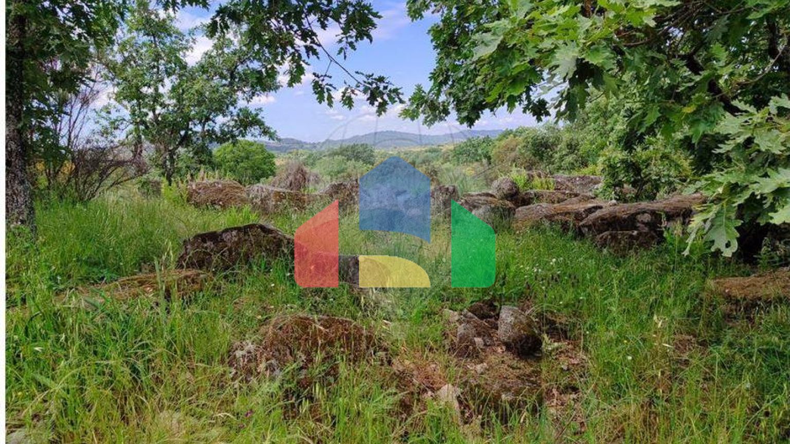 Residential - Farm - Penamacor, Penamacor - PT